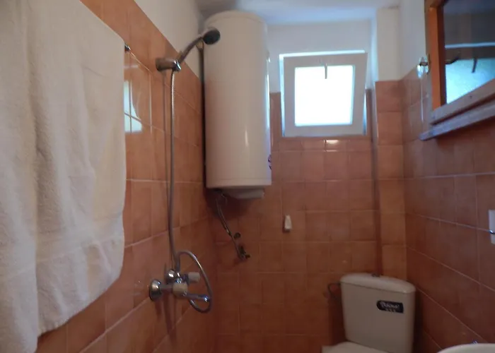 Snejanka Holiday home